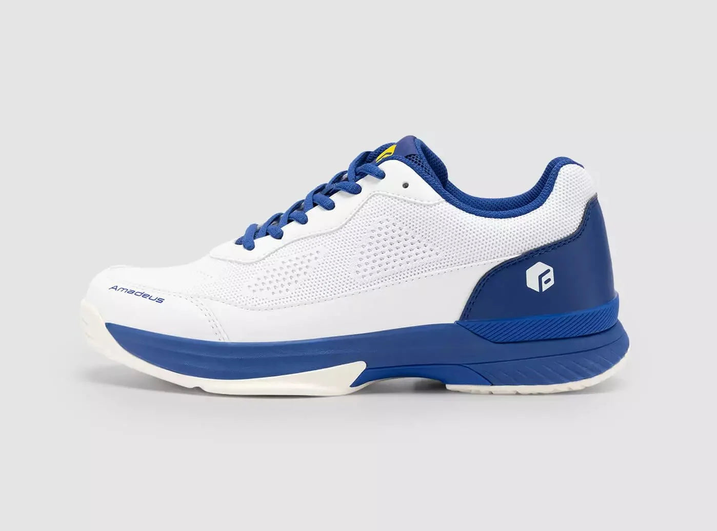 Men's Court Tennis Amadeus V2 Medium/D
