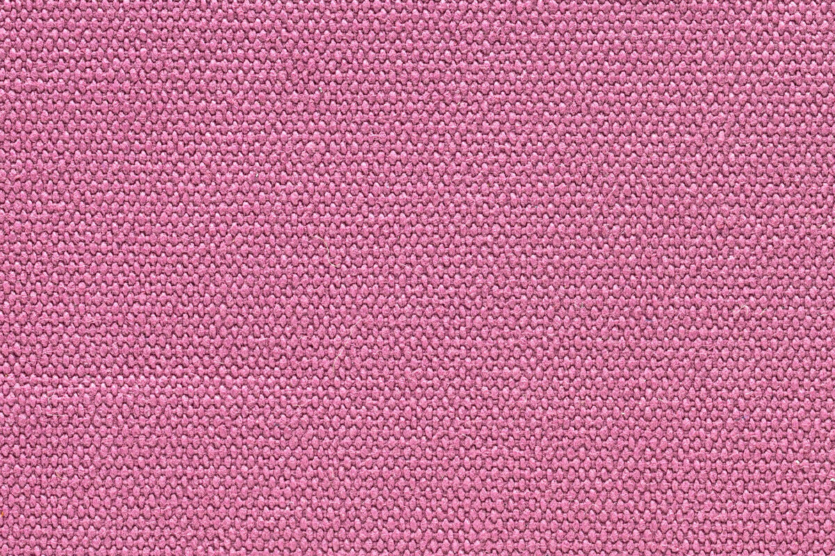 Cotinga rosé